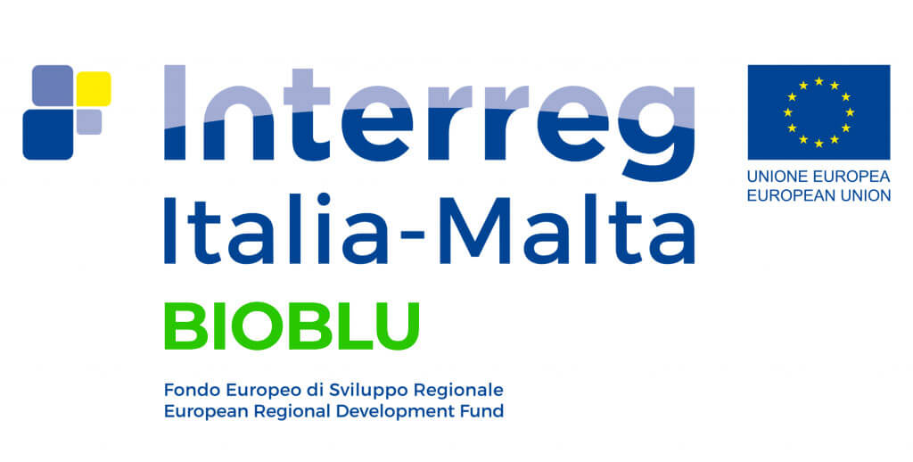 Bioblue Project